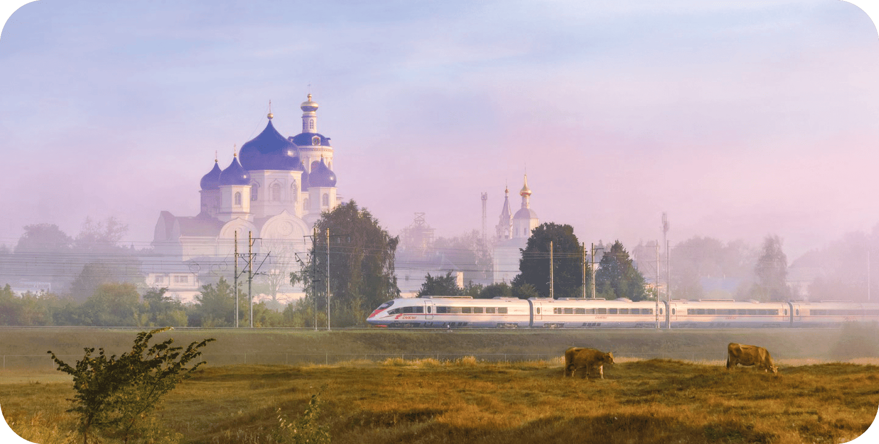 Separate waste collection on Sapsan trains